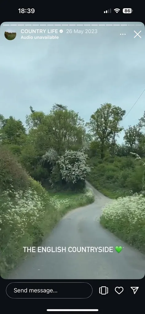 Road Trip Vlog
