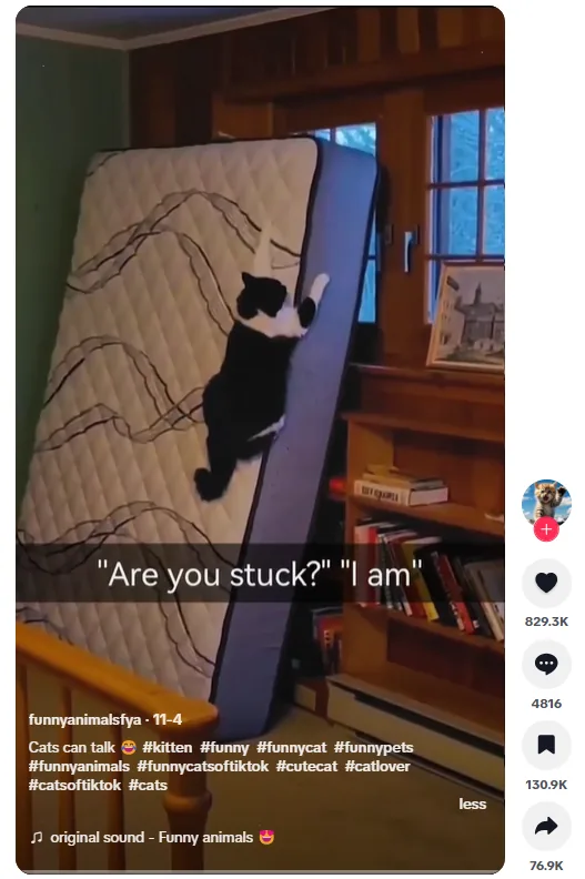 a tiktok video with relevant keywords