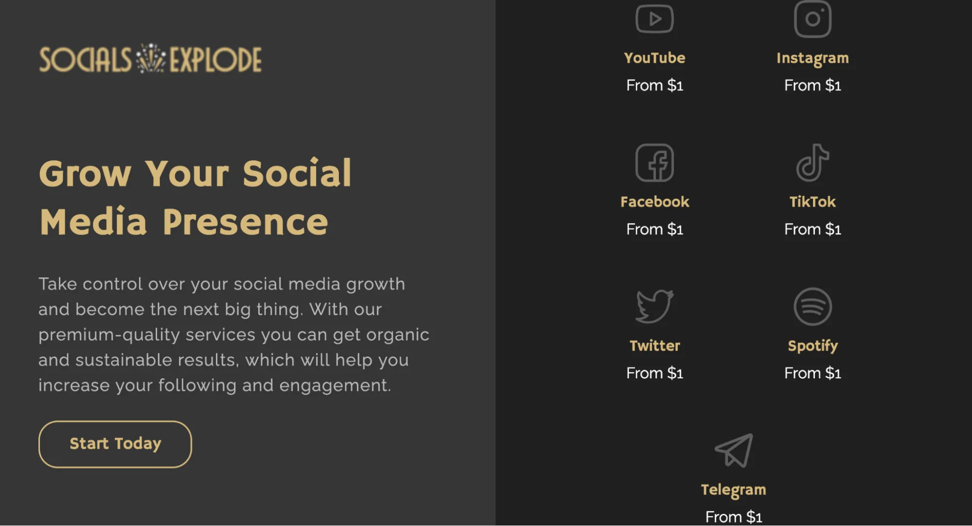 SocialsExplode Instagram Views Service